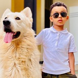 Home of puppies 🐕 🦮 <i class="emoji" style="background-i