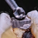 The Best Dentist