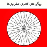 مزاج گرم و خشک