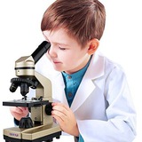 Medical Lab Technologist