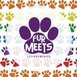 Furmeets Latinoamérica