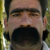 جک های خز و خیل
