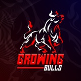 Growing Bulls