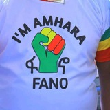 Amhara today