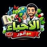 أنور السعيدي