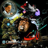 لک امیر