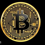 Bitcoin investment community