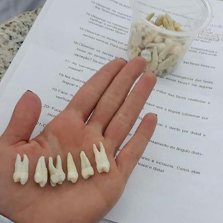 طب الاسنان