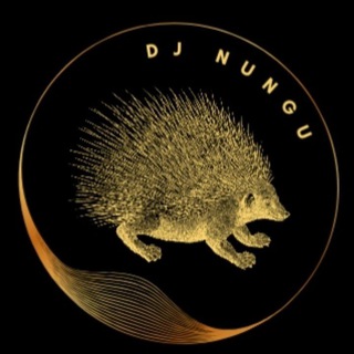 ZIM DANCEHALL