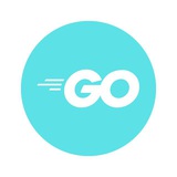 GoLang: 100% Remote