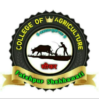 College Of Agriculture Fatehpur (SKNAU) Shekhawati Sikar