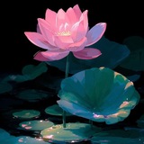 نیلوفرانه | نیلوفر دادور