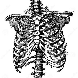 Quiropractica,Osteopatia & fisioterapia.