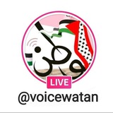 وطنvoice