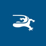 Ярославская площадка АО «Кордиант»