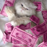Мотивация | Напоминание