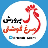 《 پرورش مرغ گوشتی 》