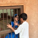شايّ
