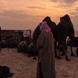 عزله