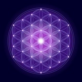 Expansión de consciencia y desarrollo humano
