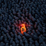 Cryptohopium