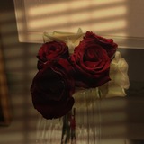 🖊️ اقتباسات 🌸