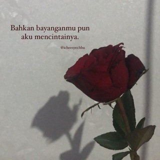 Lagu Arab/ Arabic Song🌸