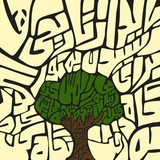 Sallow Tree