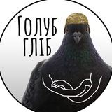 Голуб Гліб