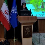 Dr majeedi