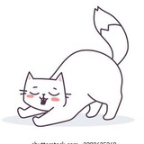 Contact