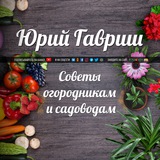 Дача. Сад. Огород: Полезные советы по дому и участку