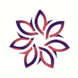 تنظيم - فعاليات - معارض