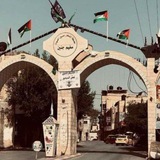 جنين الان - Jenin now