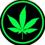 @weedfazee 🌿🪴
