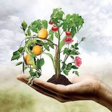 Agriculture Supervisor 2022-23