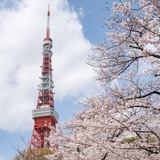 Belajar Nihongo Bareng π―π΅
