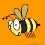 Advaita Vedanta - The Spiritual Bee