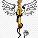Anatomy Physiology Biochemistry 1st year MBBS 🌳