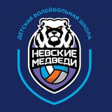 Детская волейбольная школа - Невские медведи