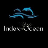 Index Ocean 🐬