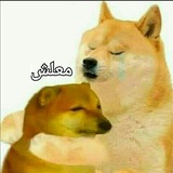 معلش