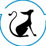 Лаборатория «ПОИСК»