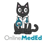 Online medED 🩺