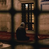 وَنَسْ
