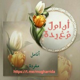 🍃 ••أنــــاملُ مُـغــــــرّدة•• 🍃
