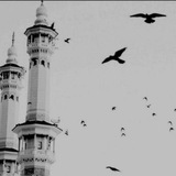 منبّه الحَوقلَة! ' 💙