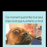 Funny(vidéos drôles)😂🤣🤣