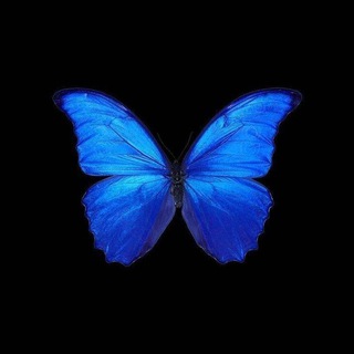 | Лучшая музыка 🦋 | Музыка 2025