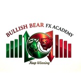 Bullish Bear Fx Academy